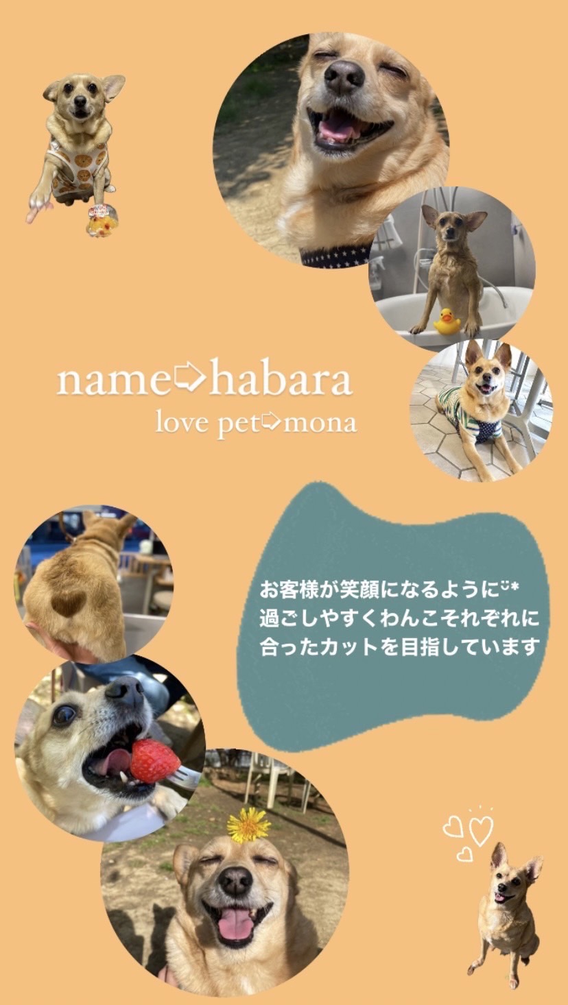 HABARA